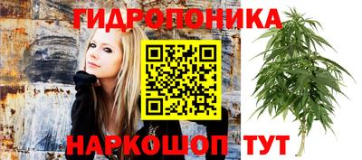 ALPHA PVP Мариинск