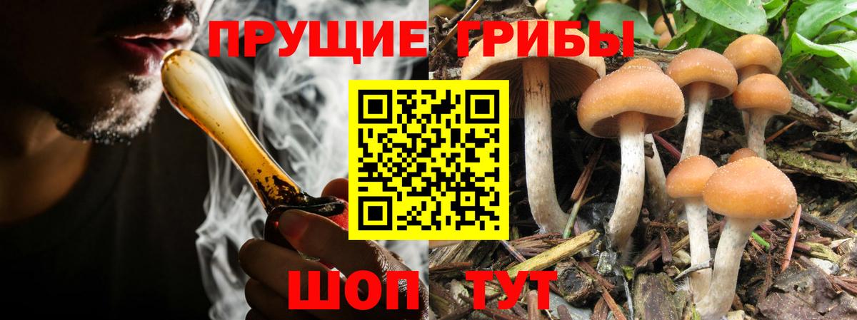 Галлюциногенные грибы Magic Shrooms Волжск
