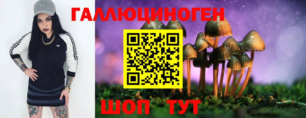 Волжск  Псилоцибиновые грибы мицелий  Вход с VPN  Галлюциногенные грибы ЛСД 